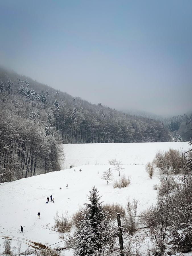 Forest View Oasis Appartement Braşov Buitenkant foto